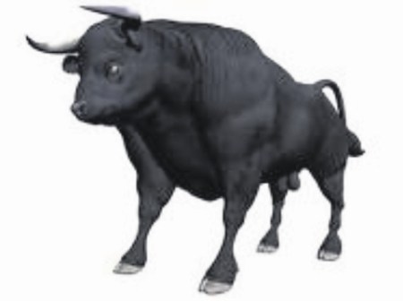 boğa