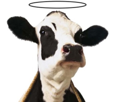 verimliliği ararken